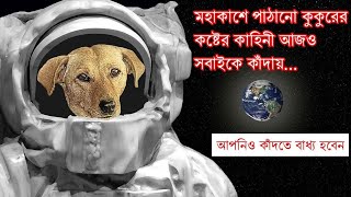 মহাকাশচারী কুকুর লাইকার নির্মম পরিণতি। Sad Story of Laika !!