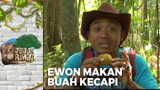 ENAK BANGET! Ewon Makan Buah Kecapi Hutan | JEJAK RIMBA EPS 14