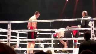 Luan Krasniqi vs Danny Williams 2015