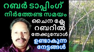 റബർ ടാപ്പിംഗ് നിർത്തേണ്ട സമയം അറിയാം || Manojnediyackal rubber tapping