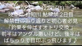 2022年5月22日(日) 岐阜県 付知川 鮎解禁 2日目 解禁日振返りと初心者必見『釣果を伸ばすオトリ交換 』前半はアングル悪いけど、後半はばちっりで目印ぶっ飛びます♪