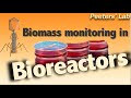 Biomass monitoring in bioreactors