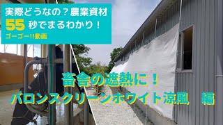 畜舎の遮熱効果検証！高反射ネット『バロンスクリーンホワイト涼風』55秒でまとめました！【ゴーゴー!!動画】