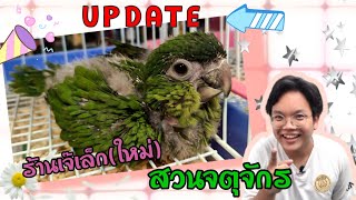 UPDAT ราคานก \