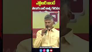 ఎన్టీఆర్ అంటే తెలుగు వాడి ఆత్మ గౌరవం | CM Chandrababu About Sr.NTR | Mahaa News