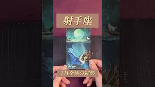 【射手座】2025年1月の運勢★ダイジェスト〜過去に積み上げた経験やデータではないところに答えがある‼️