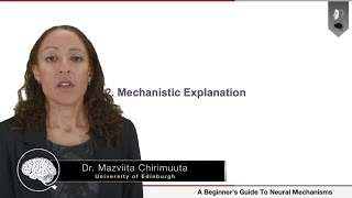 Mechanistic Explanation | Dr. Mazviita Chirimuuta (Part 2 of 4)