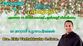 പ്രത്യാശ /എങ്ങനെ 25 ദിവസംകൊണ്ട് മനോഹരമായ ഒരു പുൽക്കൂട് ഉണ്ടാക്കാം/Bro. Ebin  O.Carm./December 9