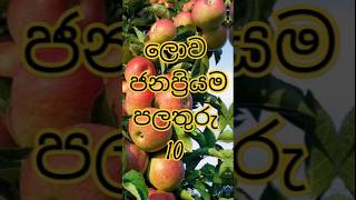 ලොව ජනප්‍රියම පලතුරු | The most popular fruit in the world...😱 #shorts #top10 #viral #viralvideo