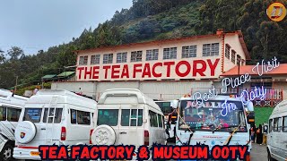 Tea Factory \u0026 Museum Ooty - Must Visit place in Ooty | Ooty Series Part 6 #destinygo #ooty