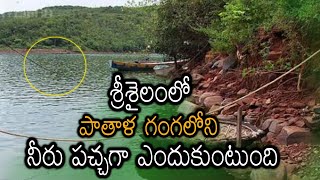 Why Does Water In Pathala Ganga looks green in Srisailam | పాతాళగంగలో నీరు పచ్చగా ఉండటానికి