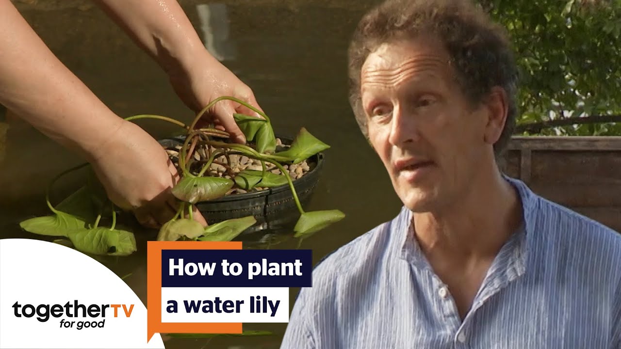 Monty Don Shows You How To Plant A Water Lily Big Dreams Small
