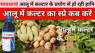 आलू में कल्टर दवा का स्प्रे कब करें | Alu Mein Cultar Ke Fayde | Syngenta Cultar | Best PGR |