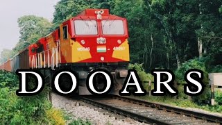 ডুয়ার্স এর জঙ্গলে || Dooars || Northbengal