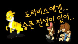 석기학개론)페트설명회-테라곤류