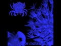 Crustacea Zoëa Larvae - The Blue Crustacean (Full Album)