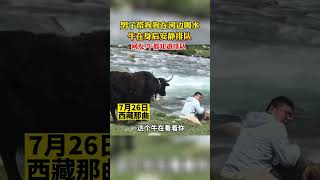 男子带狗子在河边喝水，谁料身后竟有头牛在排队#萌宠 #funny #狗狗