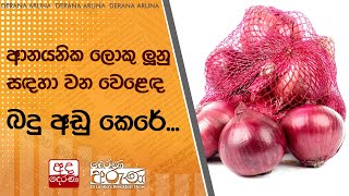 ආනයනික ලොකු ලූනු සඳහා වන වෙළෙඳ බදු අඩු කෙරේ...