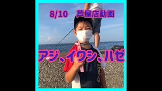 8/10動画　アジとイワシとハゼ好調　フィッシングマックス芦屋店