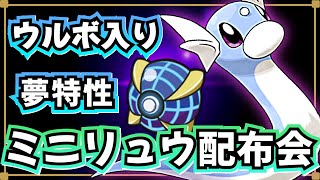 オシャボミニリュウ配布会  夢特性5V~6V 性格:いじっぱり【ポケモンSV】