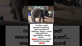 സംഗീതം അത് അനന്ത സാഗരമാണ് #youtubeshorts #youtube #subscribe #viralvideo