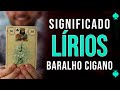 Significado carta Lírios - Baralho Cigano - Carta 30