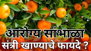 Santri Khanyache Che Fayde | Benefits Of Orange In Marathi | संत्री खाण्याचे फायदे ?|