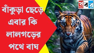 Tiger Fear Bankura || EXCLUSIVE: বাঁকুড়া ছেড়ে কি এবার লালগড়ের পথে বাঘ?