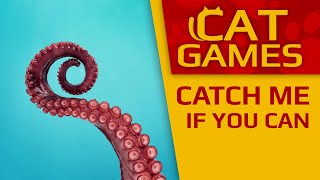 CAT GAMES - Catch me if you can! (Videos for CATS to watch) 4K