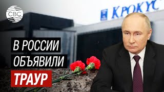 Путин выступил с обращением в связи с терактом в Москве