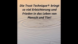 Die Trust Technique® bringt so viel Erleichterung und Frieden in das Leben von Mensch und Tier!