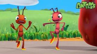 Hotshots 🔥 | ANTIKS | Moonbug Kids - Funny Cartoons and Animation