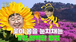🌼꽃은 어떻게 봄이 온 줄 알고 꽃을 피울까?