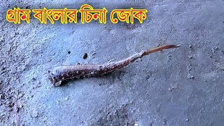 গ্রাম বাংলার চিনা জোক