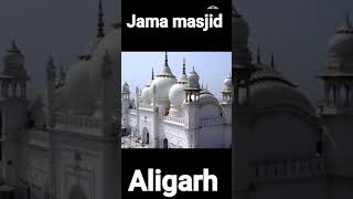 aligarh jama masjid ki history