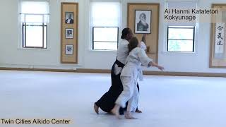 Ai Hanmi Kokyunage 2018 Donovan Waite Shihan at Twin Cities Aikido Center