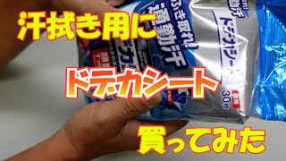 汗拭き用にドデカシート買ってみた#184【火曜日】0806