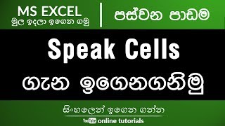 Microsoft Excel Beginner Course (Sinhala) Part 05 - Use of SpeakCells