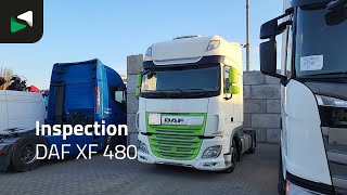 DAF XF 480 - 2020 - BAS World