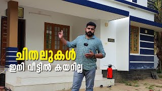 വീടുകളിൽ ഇനി ചിതൽ കയറില്ല; ഇതാ പരിഹാരം | Pest control at home | How to avoid termites