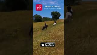 Best horse app for trail riding with map and GPS - Horse Strides app - for equestrians on iPhone