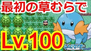 最初の草むらだけでレベル100にするには何時間かかる？【ポケモンサファイア】