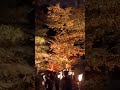 紅葉🍁夜の栗林公園