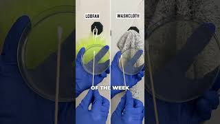 COMPARING LOOFAH VS WASHCLOTH