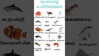 #கடல்வாழ் உயிரினங்கள்|sea animals in tamil|sea animals#shorts