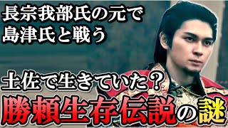 武田勝頼生存伝説とは  四国に伝わる江戸時代まで生きた勝頼の63年の生涯【どうする家康】