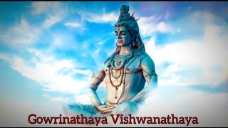 Gowrinathaya Vishwanathaya | Sri Sathya Sai Bhajan