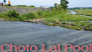 Lal pool | Choto Mechi | Batasi | Bapis World