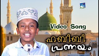 ഹബീബി പ്രണയം #New Islamic Songs 2019 #Islamic Songs Malayalam New 2019 #Madh Songs 2019