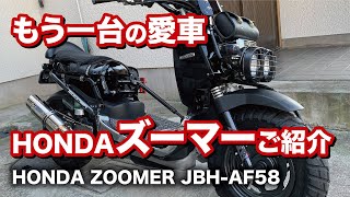 もう一台の愛車 HONDA「ズーマー」をご紹介